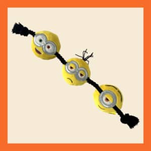 Pluche Minions Bob, Kevin & Stuart aan Flostouw is een set van drie vrolijke hondenspeeltjes in de vorm van de bekende Minions. Elk speeltje bestaat uit een zachte pluche uitvoering van Bob, Kevin of Stuart, gecombineerd met stevige flostouwen aan beide zijden. Ideaal voor trekspelletjes, apporteren of gewoon om lekker mee te knuffelen. Hondenknuffel Trekspeelgoed